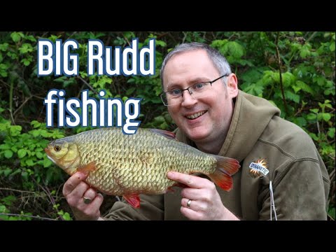 BIG Rudd fishing!