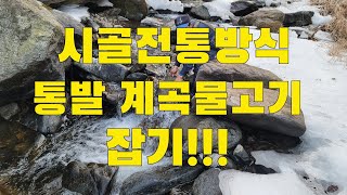시골 현지인 해빙기 통발로 계곡물고기 이렇게 잡아요!!!  /어탕수제비로 맛있는 한끼