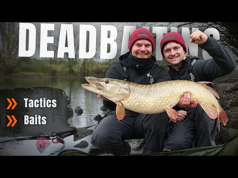Deadbaiting from the shore - Which tactic will land you a meter-long pike?