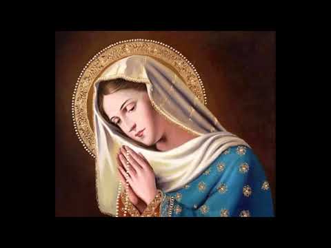 Com Maria Quero Caminhar video