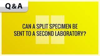 Can a split specimen be sent to a second laboratory