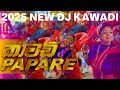 2025 New Kawadi Papare Nonstop 10Min Kawadi Mania Old Papare Dj Nonstop Kawadi Dj Trending