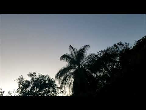 Chick Corea & Friends, Avery Fisher Hall (1978 -  Complete)