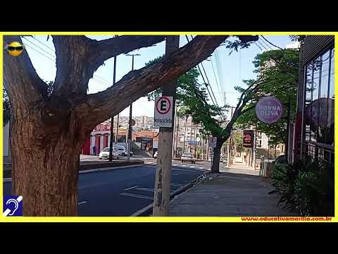 Tv Educativa Giro Pela Cidade Marília S.P