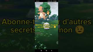 Pokemon : Un fait sur Salamèche que vous ne savez sûrement pas ! #pokemon #shorts #lesaviezvous