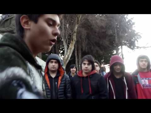 Set vs sert vs Hydra|cuartos|A Puro Free