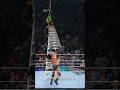Ladder To The FACE ‍