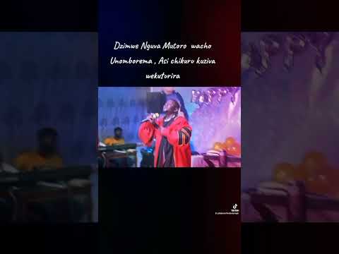 Handina Simba #zimbabweanyoutubers  #zimbabwe @tinotendakatsande6638