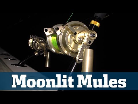 Nighttime Swordfish Seminar - Florida Sport Fishing TV - Best Baits, Rigs, Location, Techniques