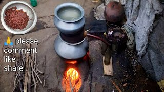 Mahua Wine — Dry Mahua Flowers Wine Traditional Methods