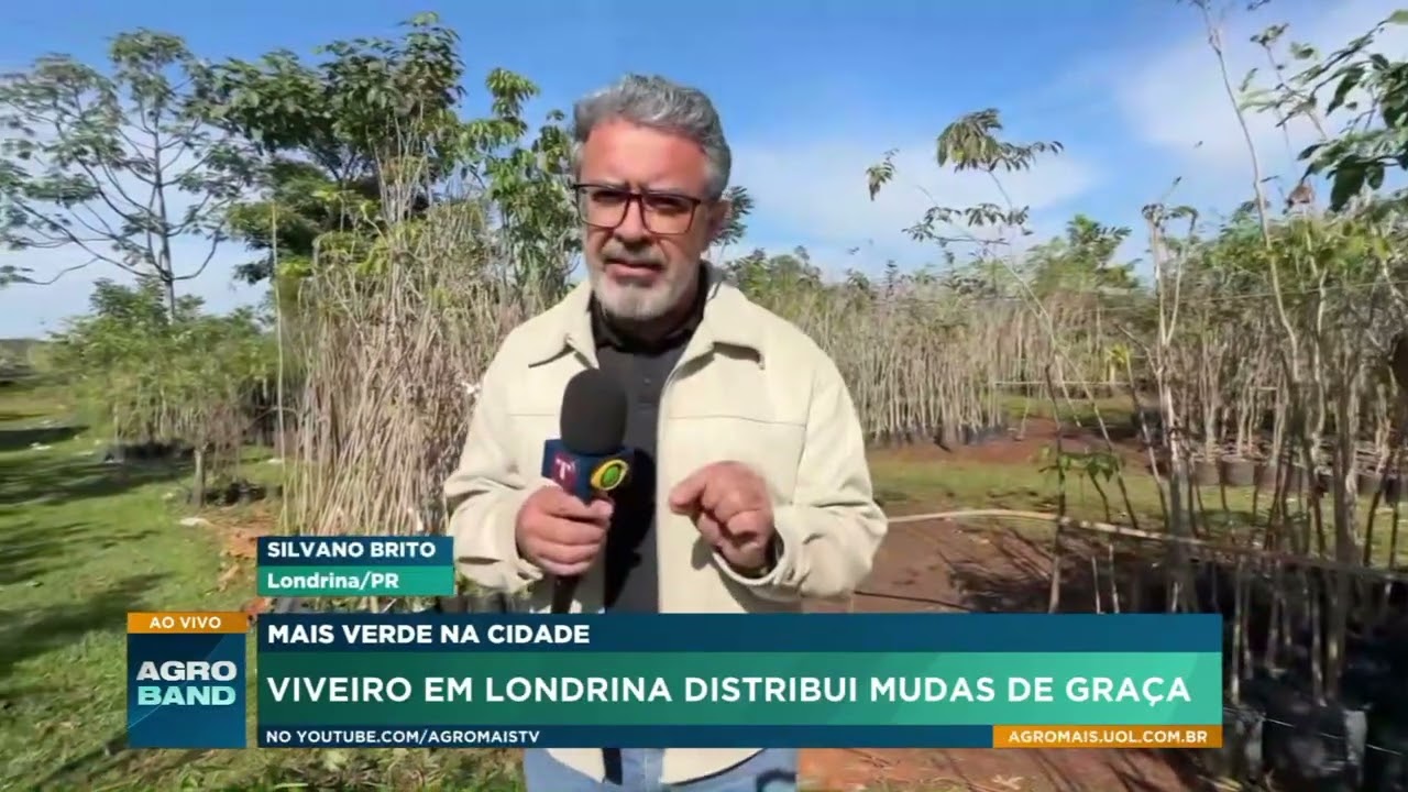 Viveiro de Londrina produz mudas e distribui árvores de graça aos moradores