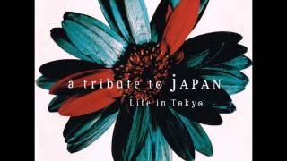 THE EXPERIENCE OF SWIMMING