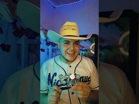 Qué hacían dos caballos frisones en medio de un desfile patrio estudiantil? 🇳🇮🐎 