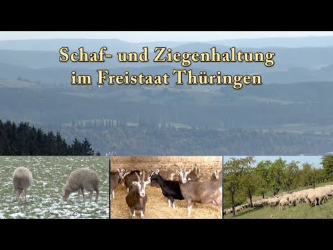 , title : 'Schaf- und Ziegenhaltung im Freistaat Thüringen'
