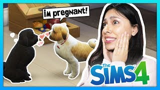 OUR DOG IS PREGNANT! PUPPIES ON THE WAY! - The Sims 4 - My Life - Ep 13
