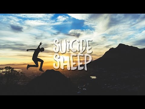 Basic Tape - Not Afraid