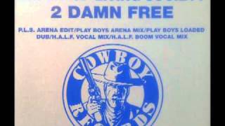 The Perks Of Living Society - Damn Free (H.A.L.F. Boom Vocal Mix)