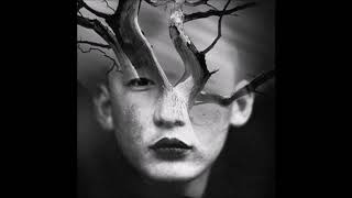 Elfenberg - Gilgamesh (Timboletti Remix)