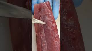 Download lagu MasyaAllah! Cacing pita pada babi tak bisa mati #shorts mp3 Download lagu MasyaAllah! Cacing pita pada babi tak bisa mati #shorts mp3