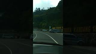 Download lagu jalan tembus cemoro sewu sarangan #shorts mp3