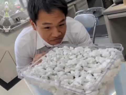 課題研究〜工業高校生の取り組み〜