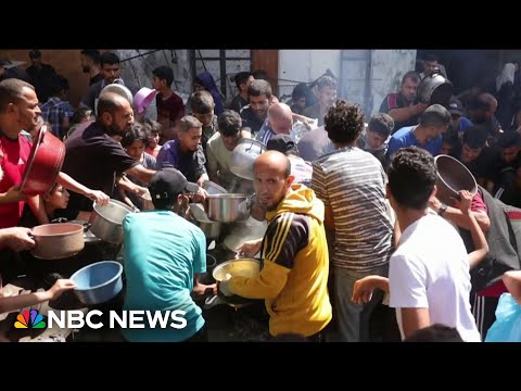 Trump 'troubled' and 'disturbed' by images of children starving in Gaza, says WH official