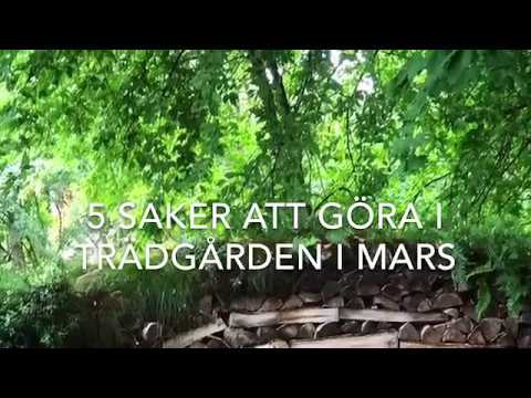 Topp 5 att göra i trädgården i mars