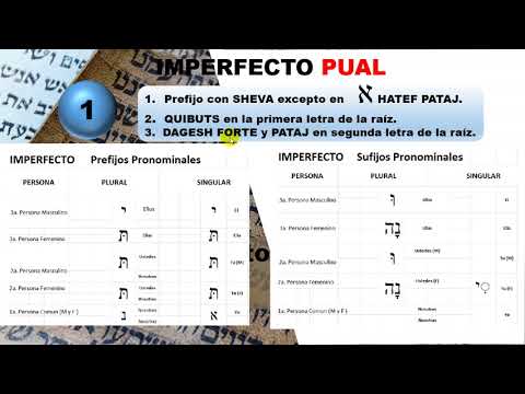 31. HEBREO BIBLICO IMPERFECTO-PUAL
