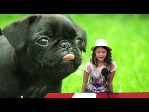 Jeugdvakantieland 2014 - Cheyenne