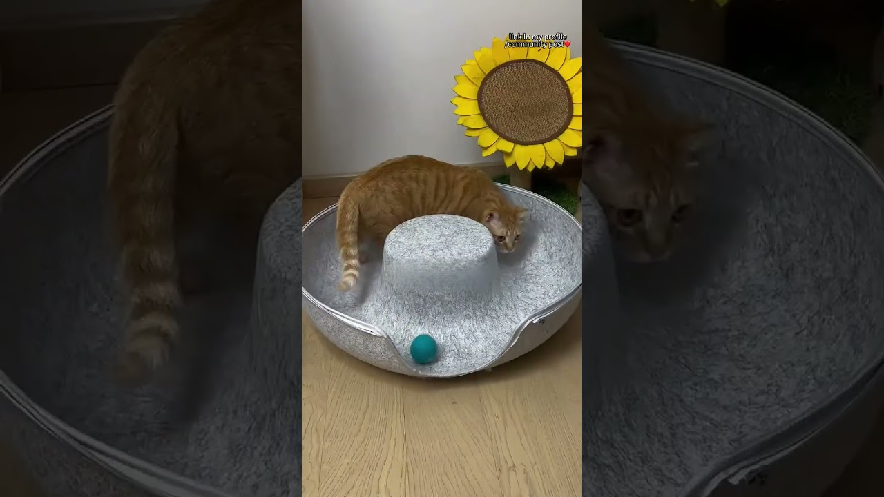 ��������� ����� �� ����� - ��� ������ ����