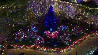 Foster Light Show - Big Bad Voodoo Daddy - Christmas Time in Tinsel Town