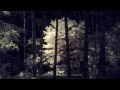 Goldmund | An Invisible Light