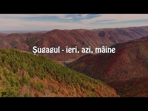Șugagul - ieri, azi, mâine
