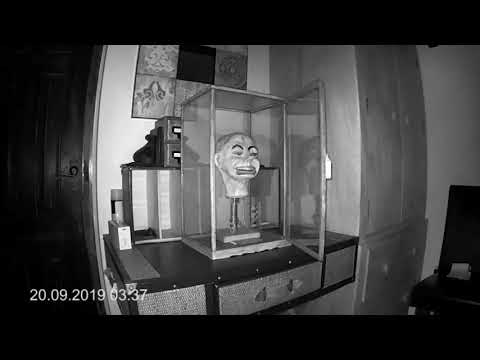 Mysterious puppet - Mr Fritz