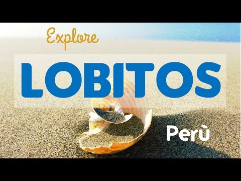 LOBITOS - PERU' | THE BEST SURF IN SOUTH AMERICA! 🌊