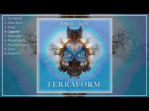 Terraform - Boreal Forest (Full Album) [2017]