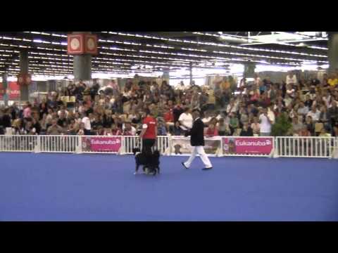 World Champion in Obedience 2011 - Maren & Amira