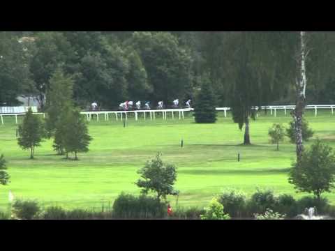 KV, 14. 6. 2015, 2. dostih - Cena dostihové stáje JASNA