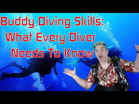 The Ultimate Guide to Buddy Diving And The Buddy System: Everything You Need to Know