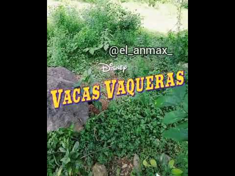 Vacas Vaqueras