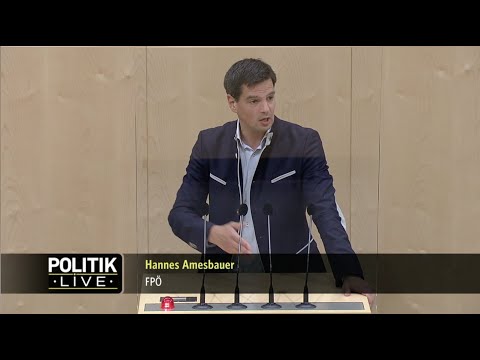 Hannes Amesbauer - Aktionsplan gegen Extremismus - 17.6.2021