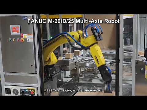 Single Cell Robotic Palletizer with FANUC M-20iD/25 Robot