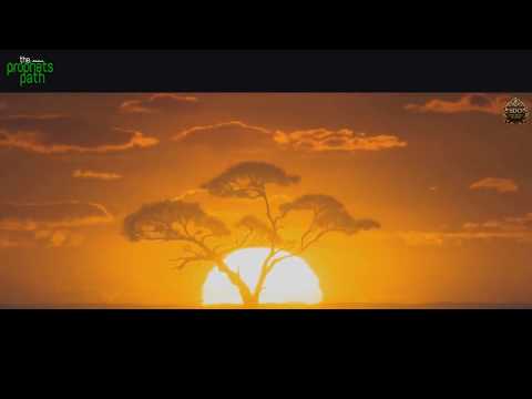 Djela stanovnika Dženneta