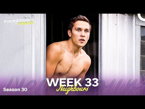 WEEK 33 | Episodes 6951-6955 | Neighbours 2014 (Season 30)