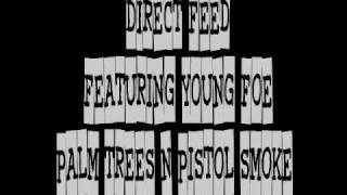 DIRECT FEED FEAT. YOUNG FOE - PALM TREES & PISTOL SMOKE.wmv