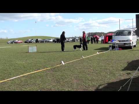 Helle og Junik 31 3 12