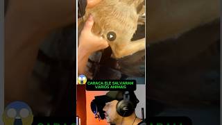 Mano o Crys dias e a patroa representaram muito se liga 😱 #shorts