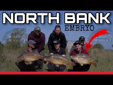 EMBRYO North Bank - Carp Fishing 2022!
