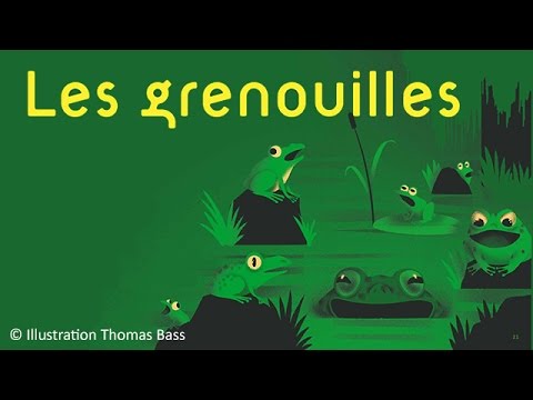 Steve Waring - Les grenouilles - chanson pour enfants