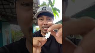 Download lagu USB/flashdisk Full Music MP3 & Mp4, With various kinds of music. mp3 Download lagu USB/flashdisk Full Music MP3 & Mp4, With various kinds of music. mp3